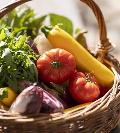 La Bastide de Moustiers - Moustiers-Sainte-Marie - Ducasse Hospitalité - Potager
